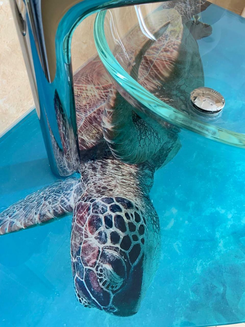 Hotel Residence Veliero Riccione Kültér fotó